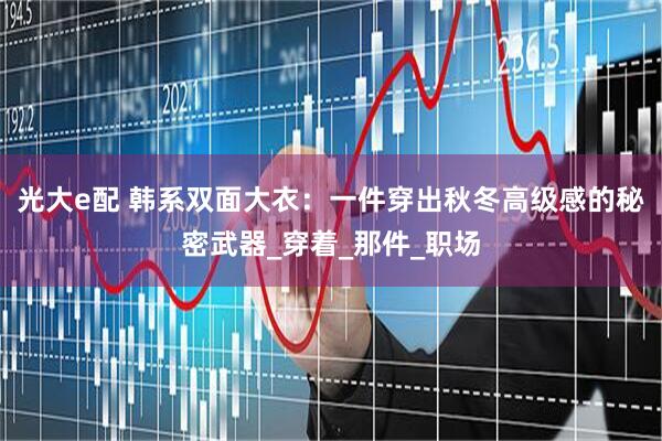 光大e配 韩系双面大衣：一件穿出秋冬高级感的秘密武器_穿着_那件_职场