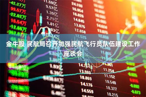 金牛股 民航局召开加强民航飞行员队伍建设工作座谈会