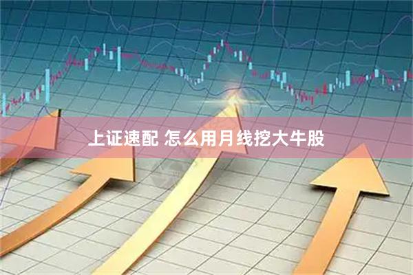 上证速配 怎么用月线挖大牛股