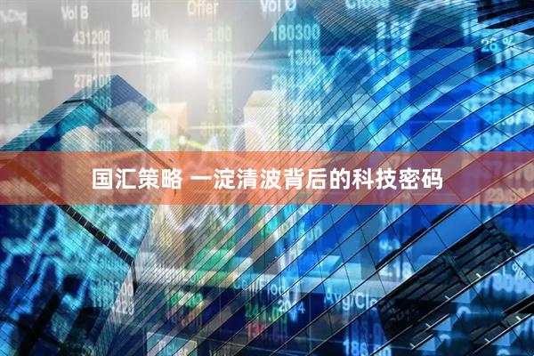 国汇策略 一淀清波背后的科技密码