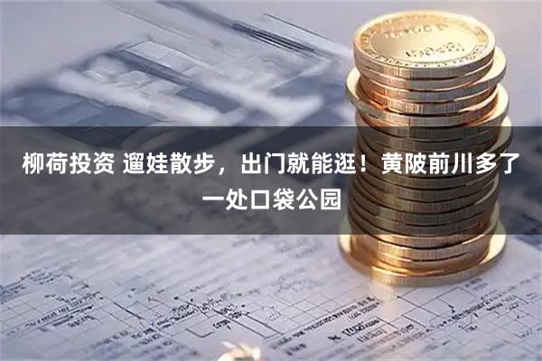 柳荷投资 遛娃散步，出门就能逛！黄陂前川多了一处口袋公园
